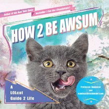 How 2 Be Awsum A LOLcat Guide 2 Life 平装 