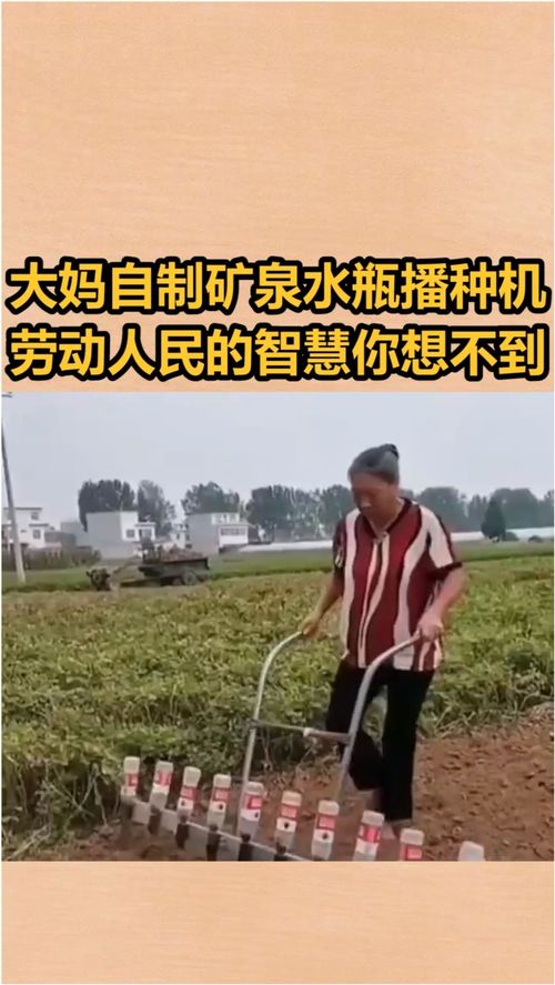 大妈自制矿泉水瓶播种机,高手在民间 