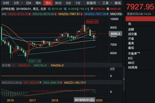 外国公司在中国发行的股票叫什么？