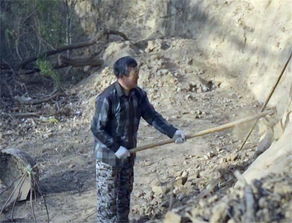 拿黄土做美食,夫妻经营50年,传承一千多年的武乡炒指 