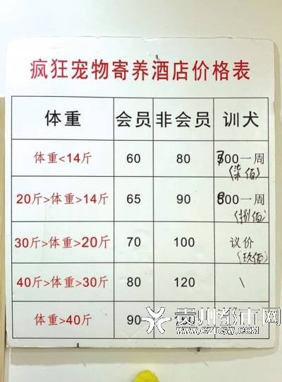 春节宠物寄养 价格普涨30 以上