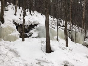 遇见东北,遇见自己 哈尔滨 漠河 哈尔滨 雪乡雪谷 吉林 二道白河 长白山 长春 沈阳,东北自助游攻略 