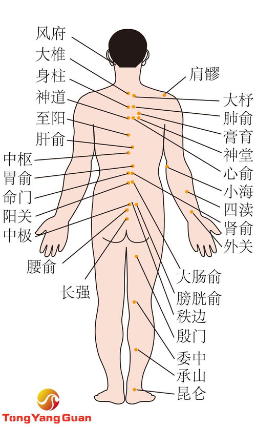 古代痣相大全pdf