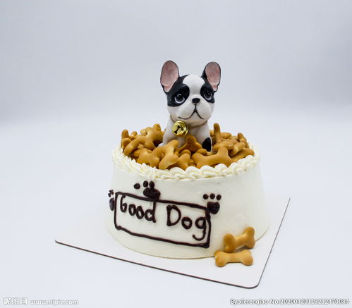 美食 狗狗 宠物蛋糕图片 