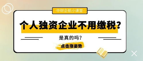 个人独资企业交税问题，求高人指点！