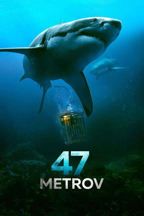 2020鲨鱼季 第一季 电视剧