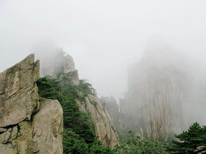 雾中黄山做梦都想去的人间仙境