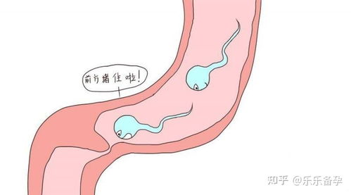 输卵管堵塞,严重到这种程度不孕,可通过试管婴儿要儿子 