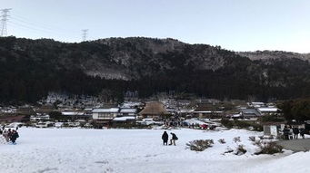 京都美山一年一度雪灯廊祭一日游