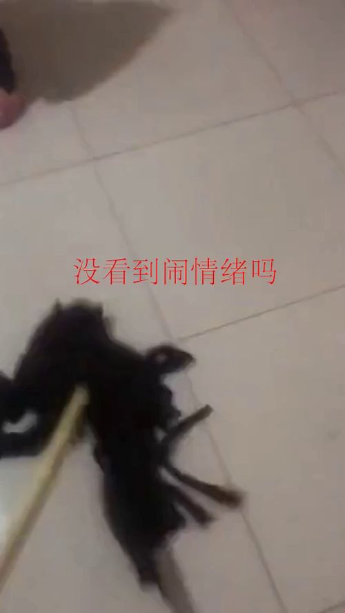 没看到人家在闹情绪吗 也不说哄哄人家,就知道拖地 