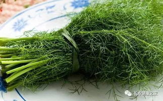 冬天 最厉害 的绿叶菜 驱寒降脂 还是胃病克星 一定多吃点