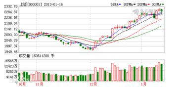 同花顺里的204001GC001是怎么回事?