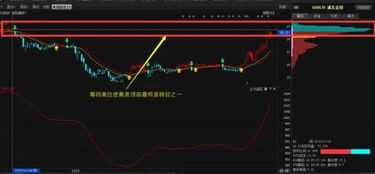 哪款手机炒股软件可以看筹码分布图