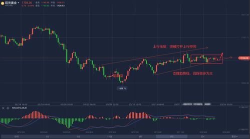 金价顶破所有均线压制！分析师：有望涨向2050上方