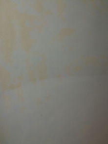 新租的房子墙壁有点脏 大家有什么建议 刷墙可以局面刷吗 