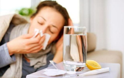 动不动就感冒,如何饮食提高免疫力 本文为你讲出实情