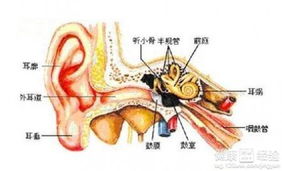 中耳炎有哪些需要注意的