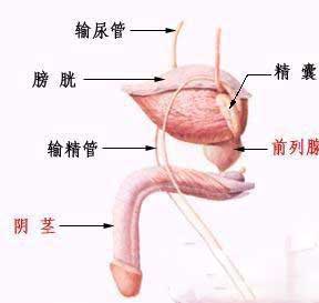 前列腺灌肠有副作用吗,慢性前列腺灌肠医治效果怎样样