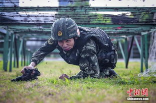 浙江宁波武警部队官兵高温酷暑练精兵 