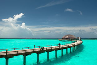 马尔代夫伊露岛和茉莉岛一次放松的海洋之旅（马尔代夫伊露岛排名）