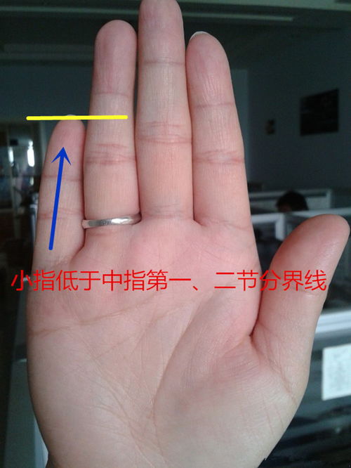 小指在手相中所代表的能力以及意义