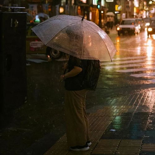 下雨天,日本人为什么钟情于透明伞