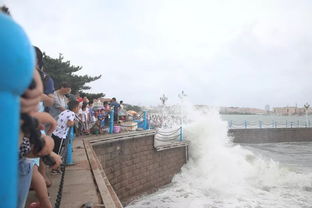 栈桥被淹 巨浪 8级大风 降温 台风 摩羯 带清凉 还想为海边这群人点赞 接下来