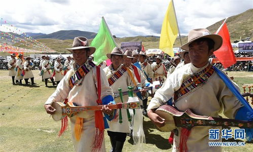 西藏传统的 数羊头 比赛 