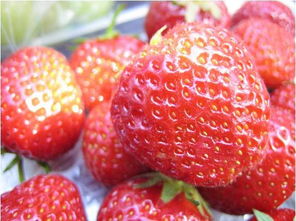 好甜的草莓