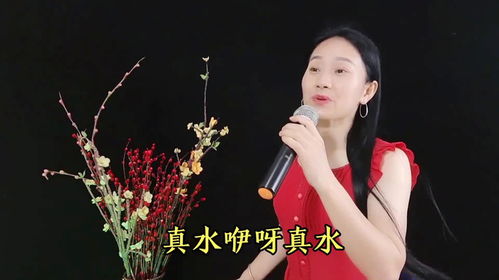 老歌 我的小妹 动听的节奏,甜美的歌,听一遍就喜欢上的经典