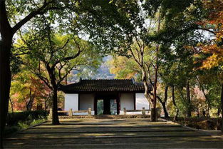 苏州2天1晚 住苏州文旅花间堂.山塘人家1晚 酒店早餐 苏州热门景点4选1 拙政园 虎丘 天平山 留园 带宝贝体验枕水人家,漫步山塘老街,感受江南水乡 到自由行线路报价 