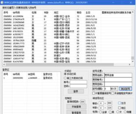 梓梓QQ资料批量查询软件下载 QQ号资料查询工具 V14.4 官方最新版软件下载 