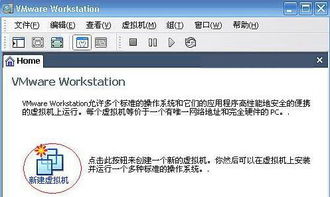 vmware虚拟机首页在哪(虚拟主机设置主页)