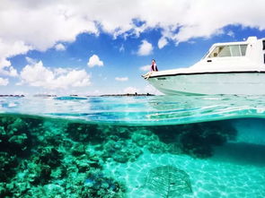 马尔代夫旅游业给你一个不一样的海洋世界