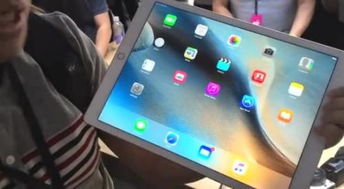 ipad pro充不进电怎么办 