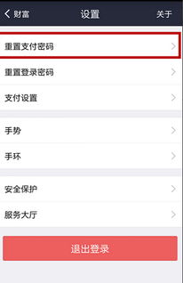 支付宝重置支付密码怎么填 
