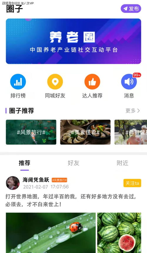 中老年人社交APP评测