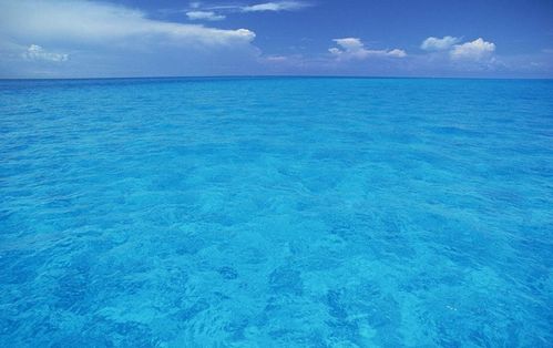 海洋面积占地球71 ,这么多水从何而来 为什么海水是咸的