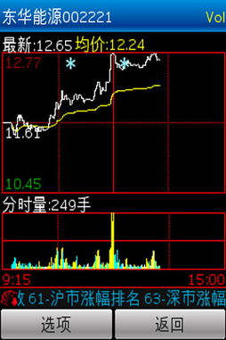 国内有什么股票特别稳定