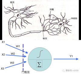 人工神经网络介绍