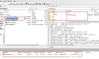 mysql安装密码check失败怎么解决(mysql安装设置密码点击不了check)