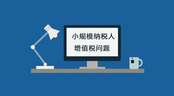 在免税期间的纳税人为什么还需要纳税申报？