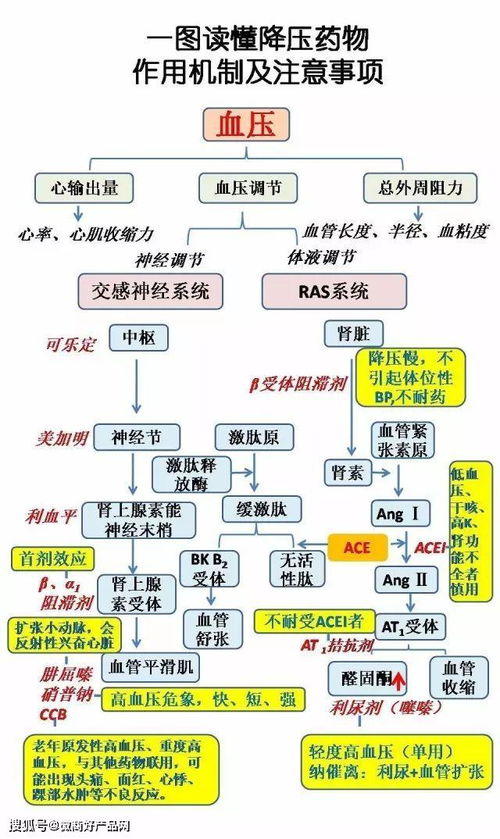 选择合适的用药时机,可使同一种药物疗效和毒性相差几十倍