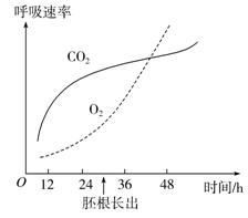 为什么呼吸强度大的植物制造的有机物总量多