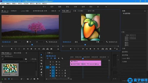 Adobe Premiere Pro for Mac 2019 v13.1.5 中文直装版