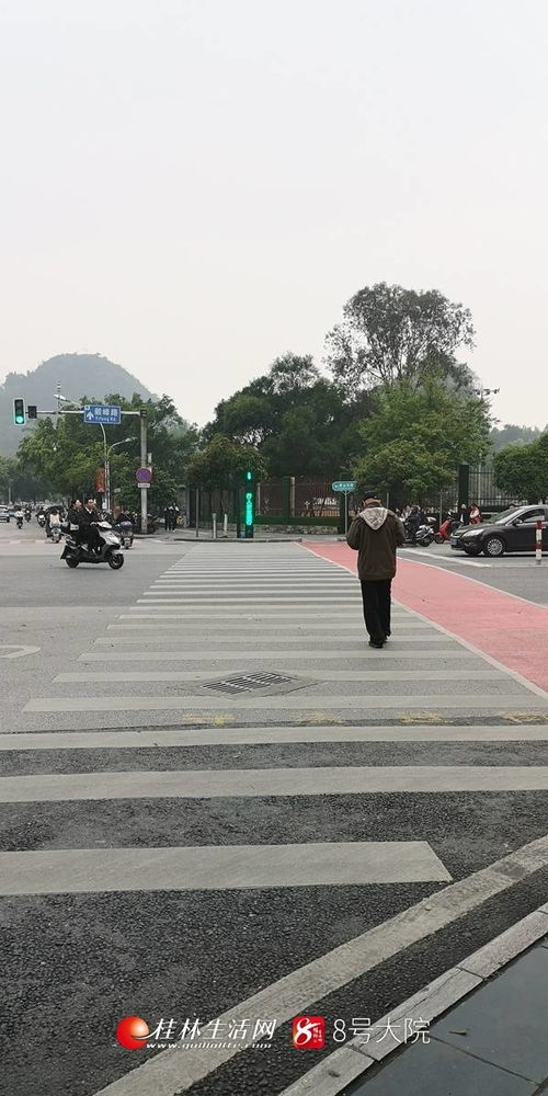 尴尬 桂林多处斑马线被阻挡,市民绕行还是 跨花圃 图