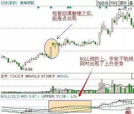 有那些激进股价位在6元左右的