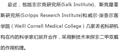 长寿药 原来离我们这么近 新研究揭示二甲双胍延长寿命的可能原理