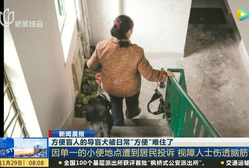 上海导盲犬被投诉2年,不许排尿 人性最大的恶,莫过于欺负弱者
