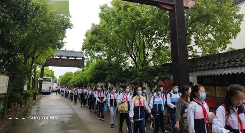 今日书院 感受剪纸魅力 传承汉服文化 金山初级中学 华夏有衣 研学实践顺利结束